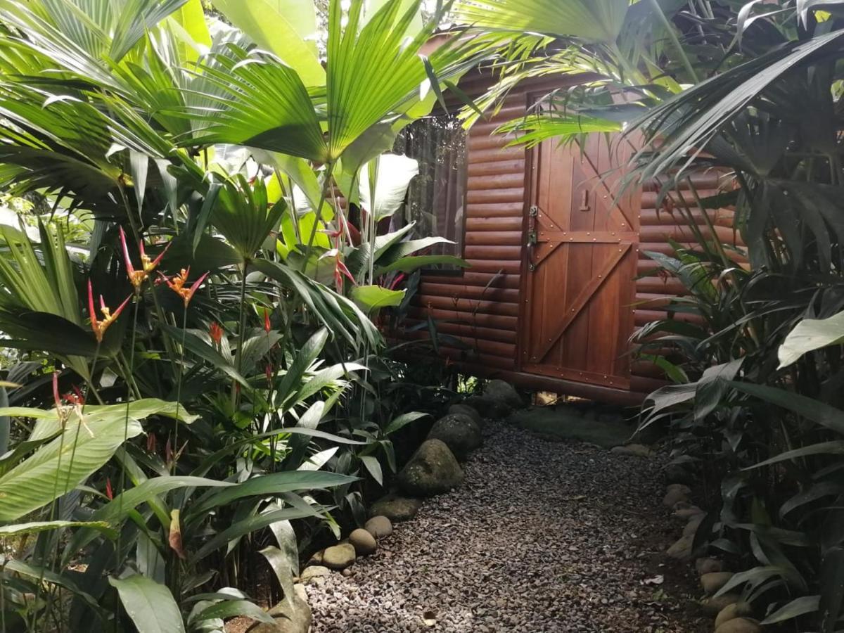 Arenal Rustic Lodge Alajuela Exterior photo