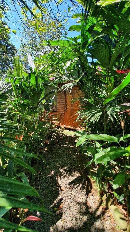 Arenal Rustic Lodge Alajuela Exterior photo